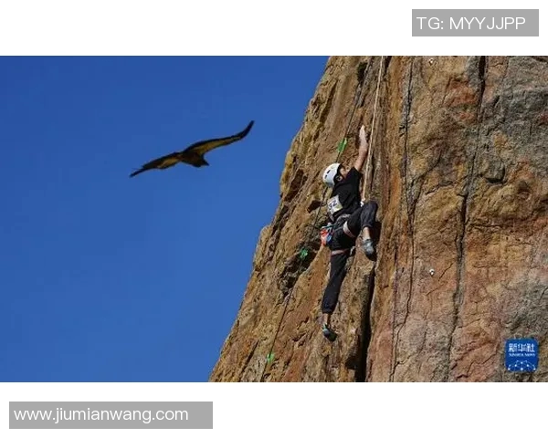 南京攀岩队在运动攀岩中的整体表现与压制策略分析