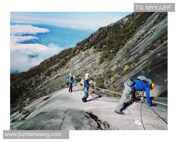 重庆极限运动队的包夹体系与战术分析探索极限运动的边界与挑战