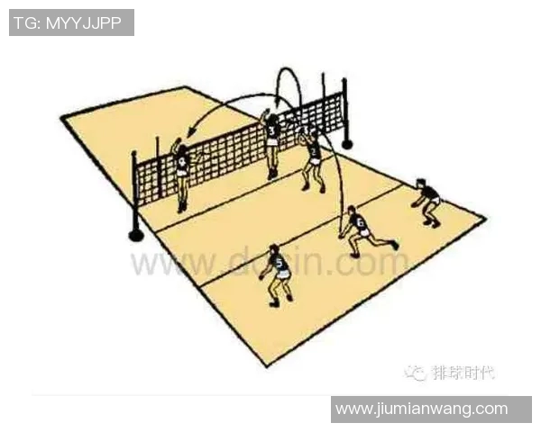 今年运动数据重庆排球队总决赛战术分析与表现评估的深度解读 今年运动数据重庆排球队总决赛战术分析与表现评估的深度解读